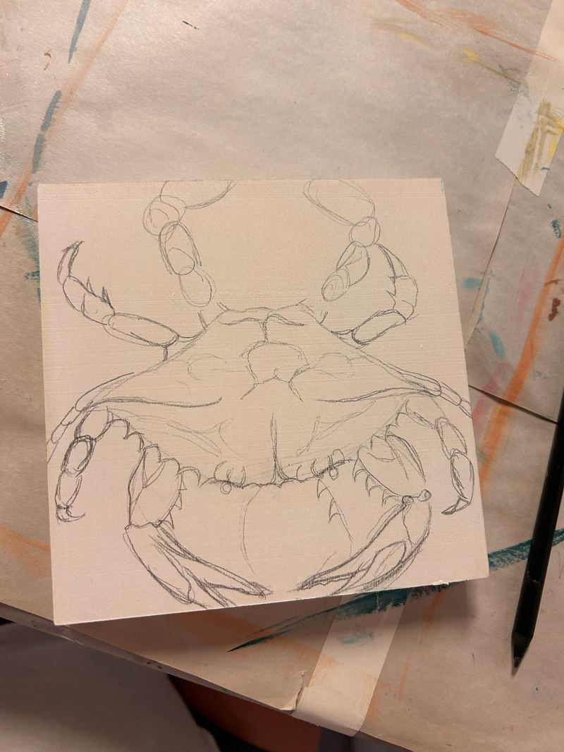Pencil sketch of a crab