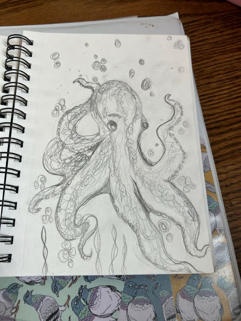 Pencil sketch of an octopus