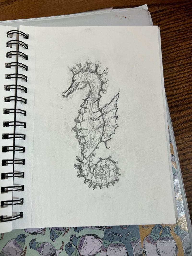 Pencil sketch of a seahorse