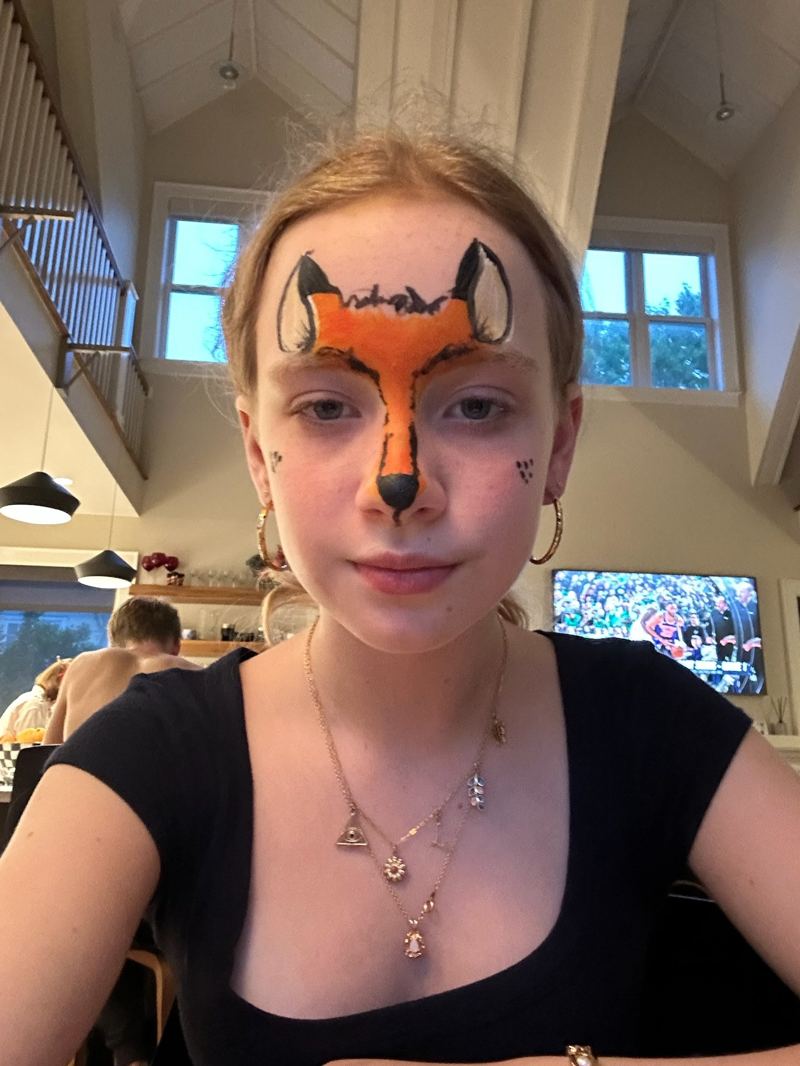 Fox face paint design